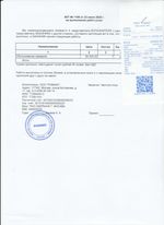 Кассовые чеки с подтверждением в Камышлове